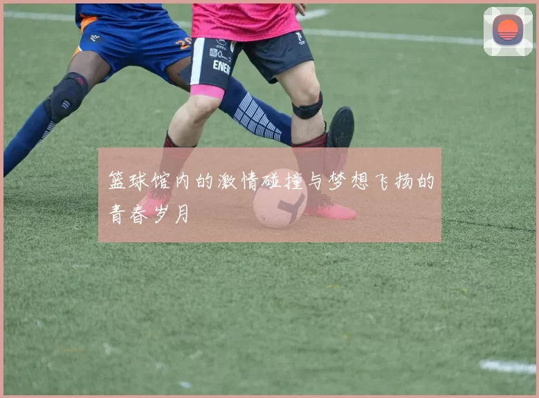 篮球馆内的激情碰撞与梦想飞扬的青春岁月