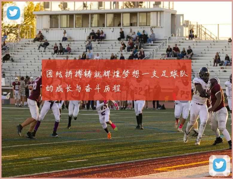 团结拼搏铸就辉煌梦想一支足球队的成长与奋斗历程