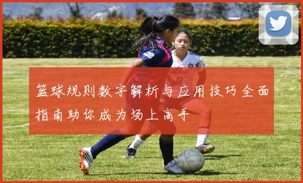 篮球规则数字解析与应用技巧全面指南助你成为场上高手