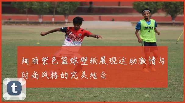 绚丽紫色篮球壁纸展现运动激情与时尚风格的完美结合