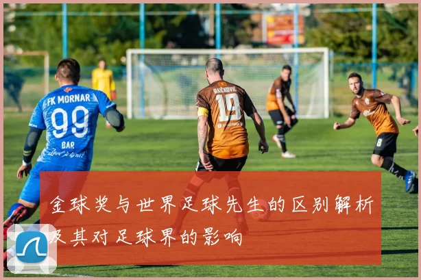 金球奖与世界足球先生的区别解析及其对足球界的影响