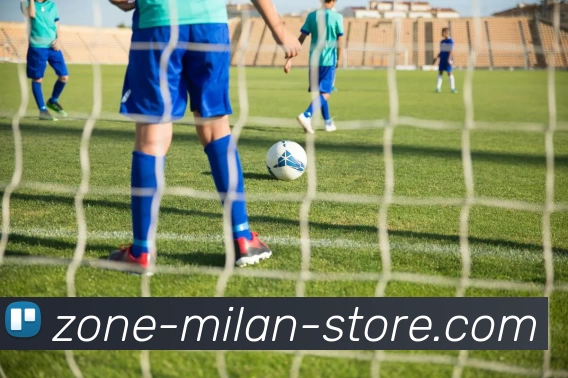 学篮球能否为高考加分探讨与政策解读